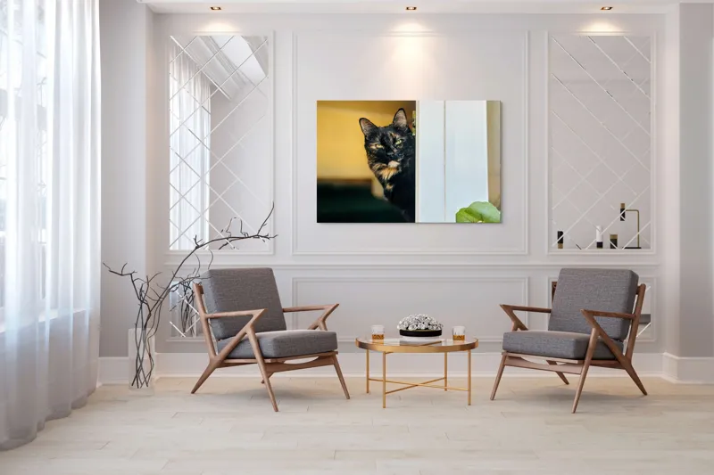 Tablou Canvas, "Pisica misterioasă în pragul ușii", Pisică, Blană, Fereastră, Privire, Curiozitate, Verdeață, Interior, Întuneric, Luminos, Relaxare, 150 x 100 cm – poza 7
