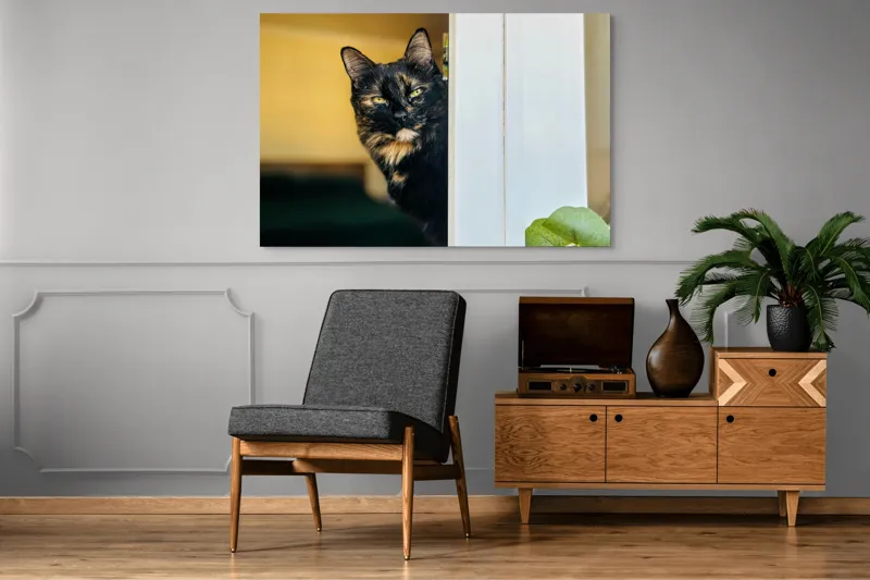Tablou Canvas, "Pisica misterioasă în pragul ușii", Pisică, Blană, Fereastră, Privire, Curiozitate, Verdeață, Interior, Întuneric, Luminos, Relaxare, 150 x 100 cm – poza 8