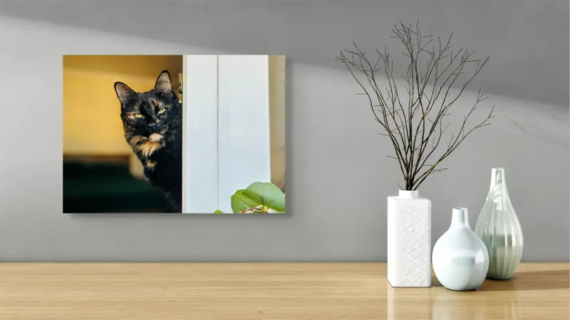 Tablou Canvas, "Pisica misterioasă în pragul ușii", Pisică, Blană, Fereastră, Privire, Curiozitate, Verdeață, Interior, Întuneric, Luminos, Relaxare, 54 x 39 cm – poza 3