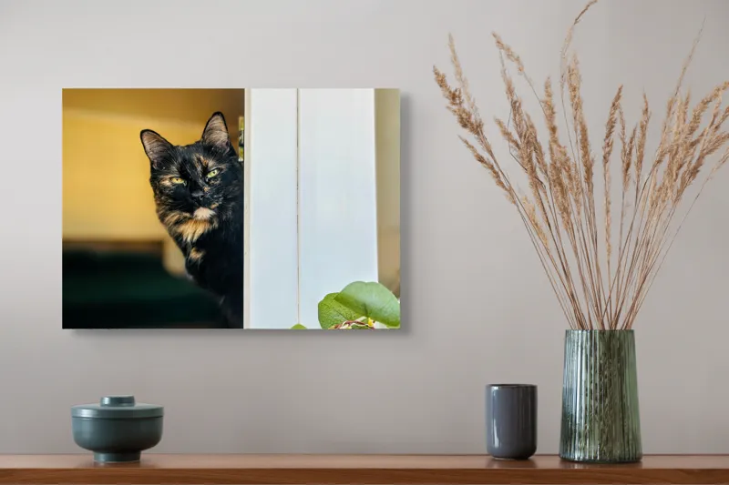 Tablou Canvas, "Pisica misterioasă în pragul ușii", Pisică, Blană, Fereastră, Privire, Curiozitate, Verdeață, Interior, Întuneric, Luminos, Relaxare, 54 x 39 cm – poza 4