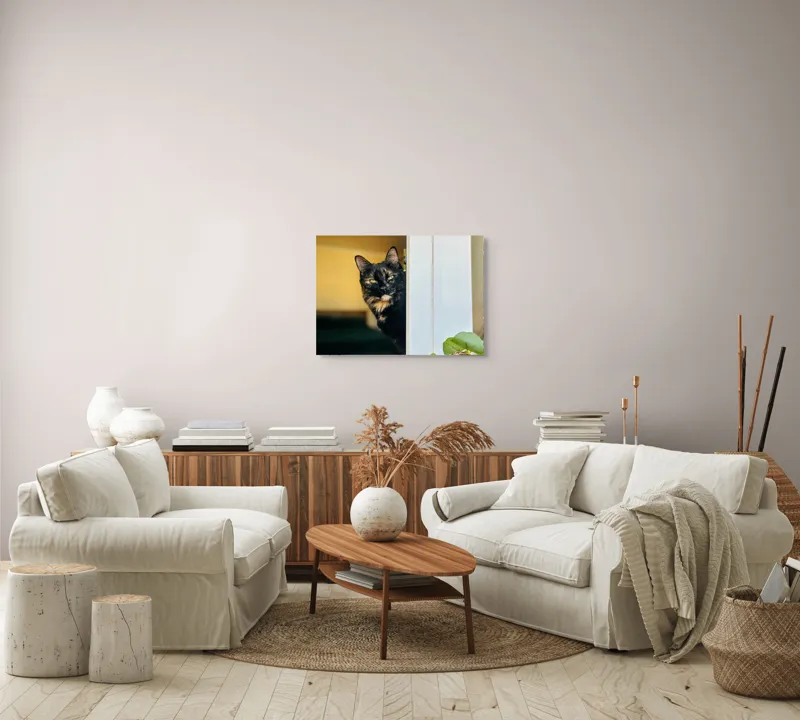 Tablou Canvas, "Pisica misterioasă în pragul ușii", Pisică, Blană, Fereastră, Privire, Curiozitate, Verdeață, Interior, Întuneric, Luminos, Relaxare, 70 x 50 cm – poza 6