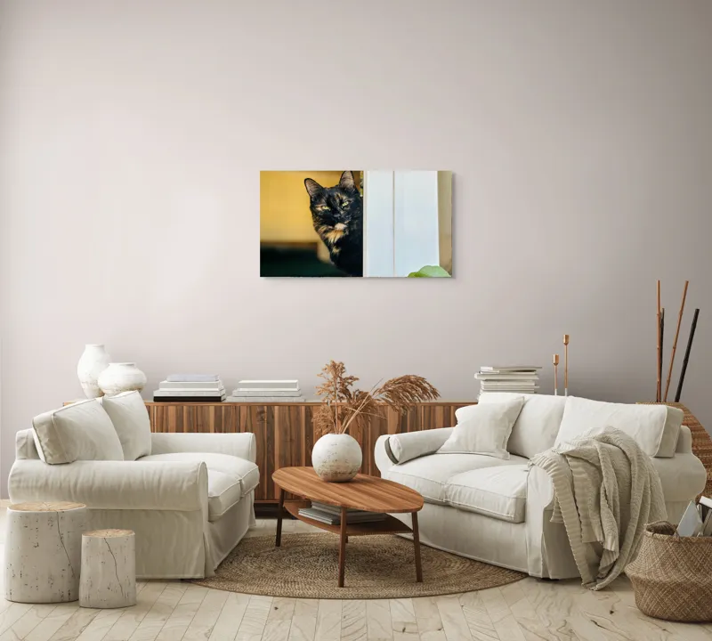 Tablou Canvas, "Pisica misterioasă în pragul ușii", Pisică, Blană, Fereastră, Privire, Curiozitate, Verdeață, Interior, Întuneric, Luminos, Relaxare, 90 x 50 cm – poza 4