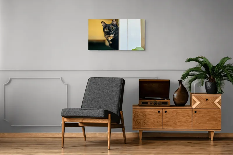 Tablou Canvas, "Pisica misterioasă în pragul ușii", Pisică, Blană, Fereastră, Privire, Curiozitate, Verdeață, Interior, Întuneric, Luminos, Relaxare, 90 x 50 cm – poza 6