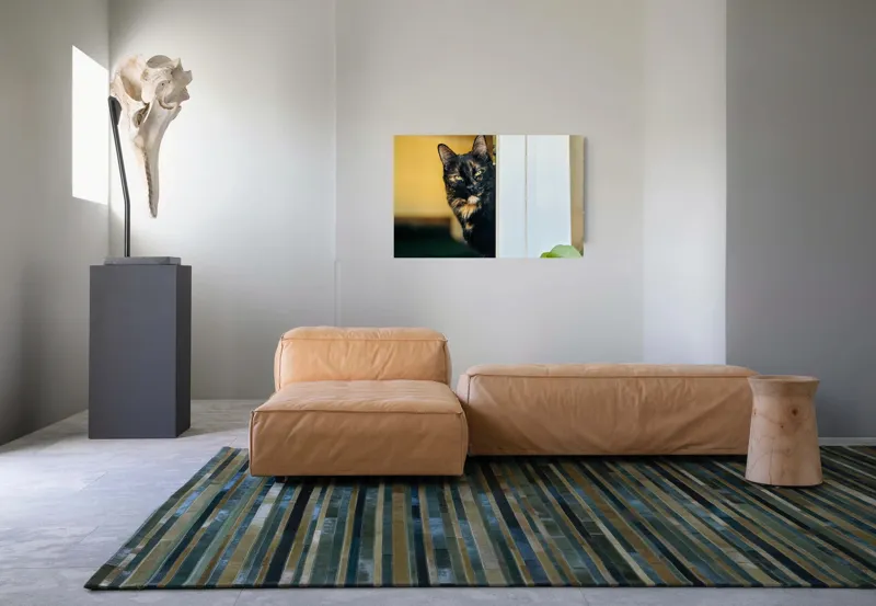 Tablou Canvas, "Pisica misterioasă în pragul ușii", Pisică, Blană, Fereastră, Privire, Curiozitate, Verdeață, Interior, Întuneric, Luminos, Relaxare, 90 x 50 cm – poza 8