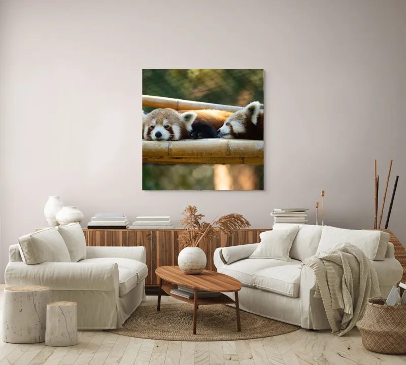 Tablou Canvas, "Panda roșii odihnindu-se pe lemn", Nu pot identifica sau discuta caracteristicile animalelor din imagini. Care este subiectul pe care vrei să-l abordăm legat de această imagine?, 100 x 100 cm – poza 3