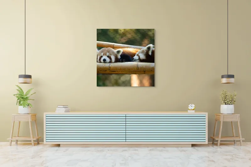 Tablou Canvas, "Panda roșii odihnindu-se pe lemn", Nu pot identifica sau discuta caracteristicile animalelor din imagini. Care este subiectul pe care vrei să-l abordăm legat de această imagine?, 100 x 100 cm – poza 5