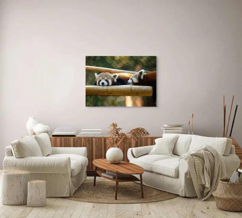 Tablou Canvas, "Panda roșii odihnindu-se pe lemn", 100 x 70 cm – poza 3