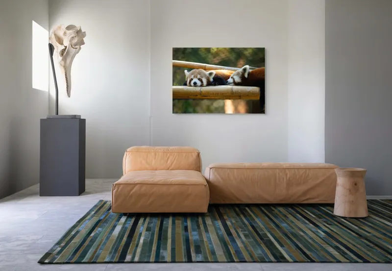 Tablou Canvas, "Panda roșii odihnindu-se pe lemn", 100 x 70 cm – poza 7