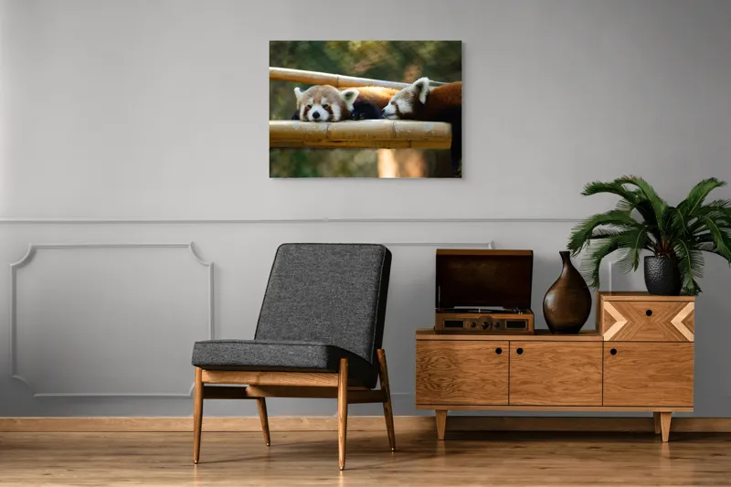 Tablou Canvas, "Panda roșii odihnindu-se pe lemn", 100 x 70 cm – poza 8