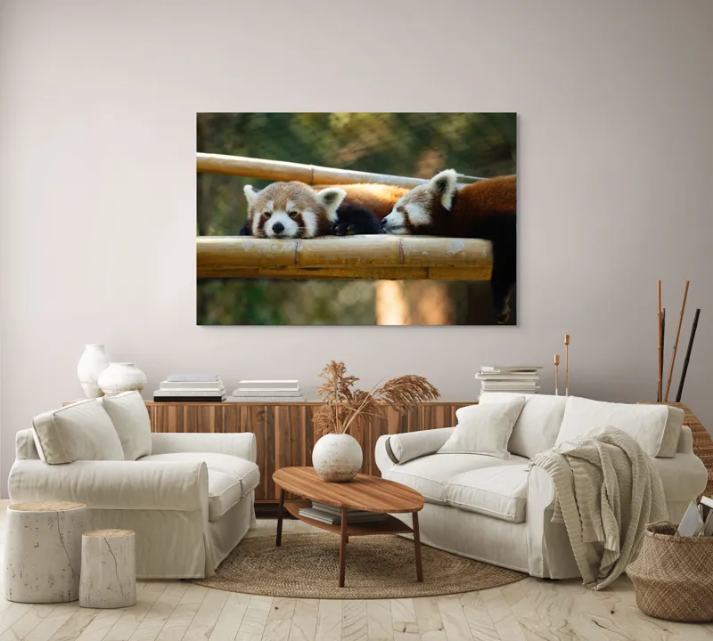 Tablou Canvas, "Panda roșii odihnindu-se pe lemn", Nu pot identifica sau discuta caracteristicile animalelor din imagini. Care este subiectul pe care vrei să-l abordăm legat de această imagine?, 150 x 100 cm – poza 3