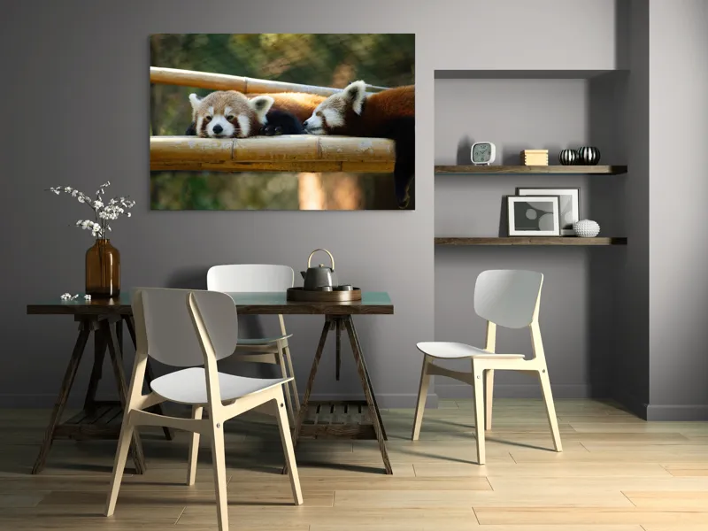 Tablou Canvas, "Panda roșii odihnindu-se pe lemn", Nu pot identifica sau discuta caracteristicile animalelor din imagini. Care este subiectul pe care vrei să-l abordăm legat de această imagine?, 150 x 100 cm – poza 5