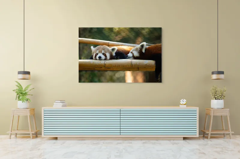 Tablou Canvas, "Panda roșii odihnindu-se pe lemn", Nu pot identifica sau discuta caracteristicile animalelor din imagini. Care este subiectul pe care vrei să-l abordăm legat de această imagine?, 150 x 100 cm – poza 6