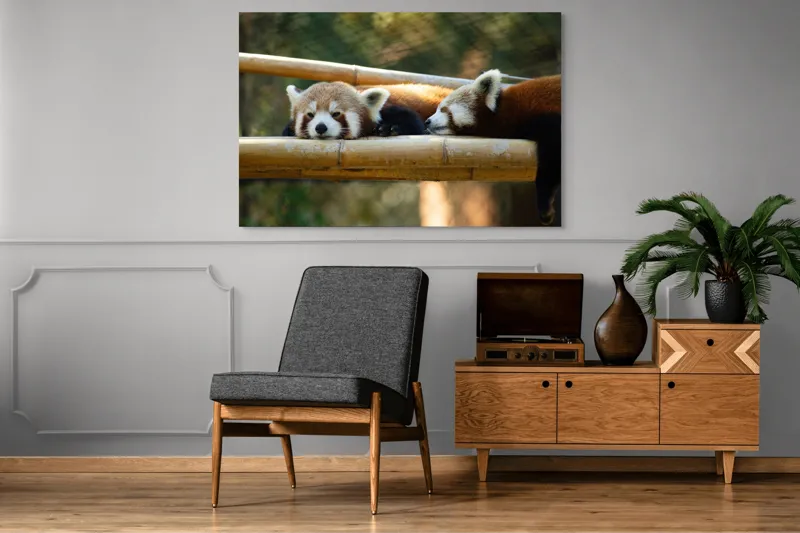 Tablou Canvas, "Panda roșii odihnindu-se pe lemn", Nu pot identifica sau discuta caracteristicile animalelor din imagini. Care este subiectul pe care vrei să-l abordăm legat de această imagine?, 150 x 100 cm – poza 8