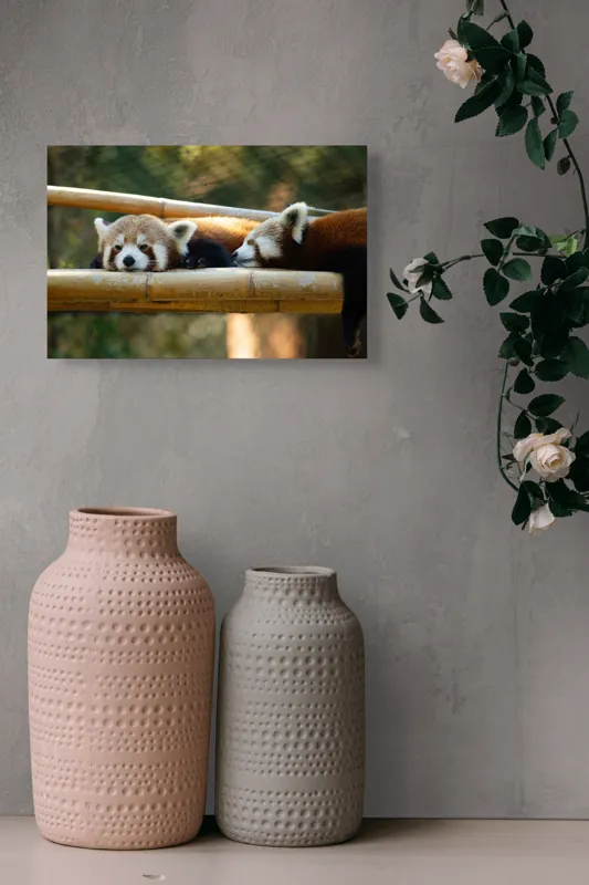 Tablou Canvas, "Panda roșii odihnindu-se pe lemn", 39 x 26 cm – poza 4