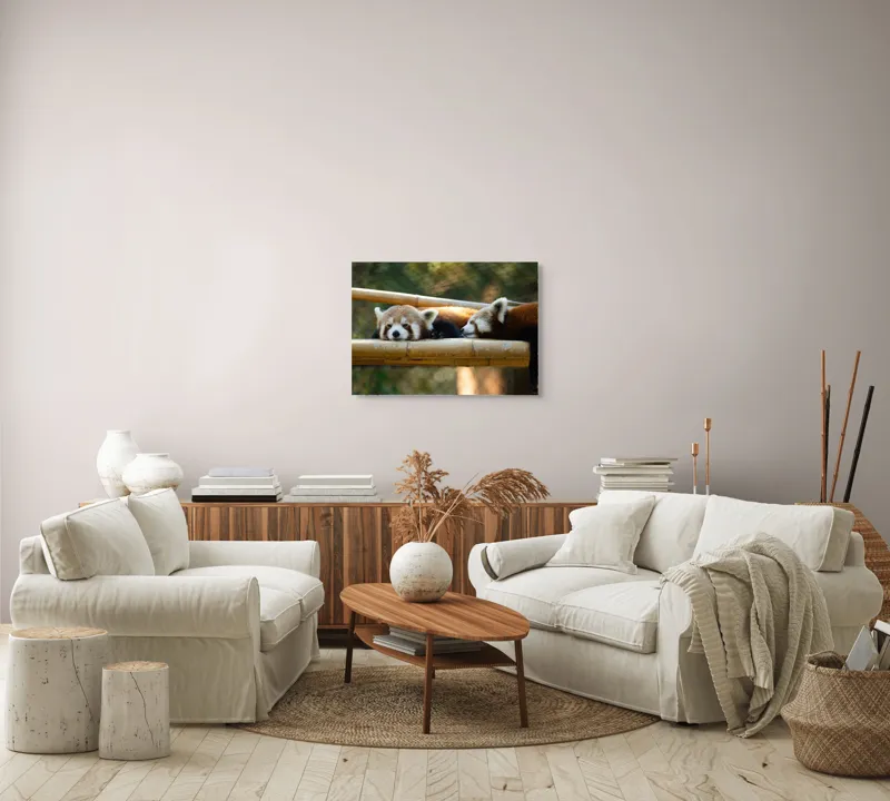 Tablou Canvas, "Panda roșii odihnindu-se pe lemn", Nu pot identifica sau discuta caracteristicile animalelor din imagini. Care este subiectul pe care vrei să-l abordăm legat de această imagine?, 70 x 50 cm – poza 6