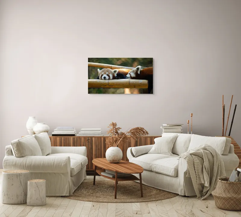 Tablou Canvas, "Panda roșii odihnindu-se pe lemn", 90 x 50 cm – poza 4