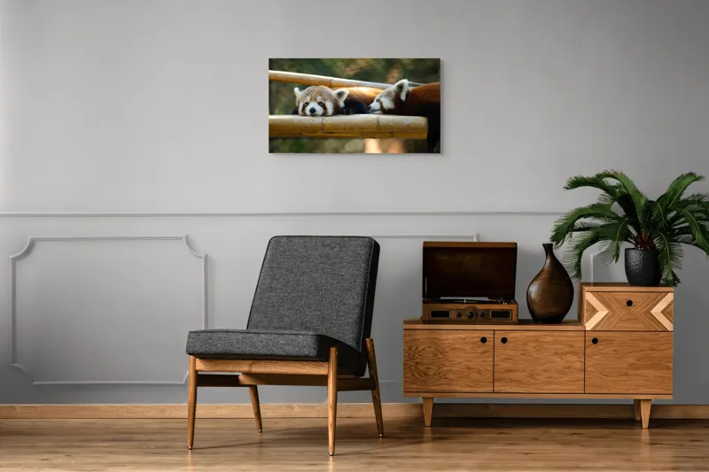 Tablou Canvas, "Panda roșii odihnindu-se pe lemn", 90 x 50 cm – poza 6