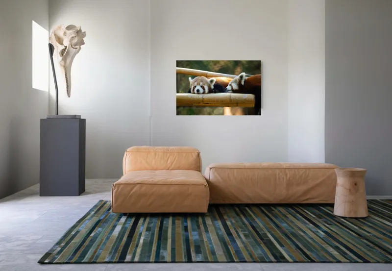 Tablou Canvas, "Panda roșii odihnindu-se pe lemn", 90 x 50 cm – poza 8