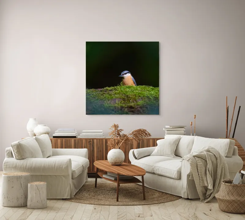 Tablou Canvas, "Taina vieții pe ramura verde", Pasăre, Molid, Mușchi, Verde, Pene, Natural, Seren, Tihnă, Observare, Liniște, 100 x 100 cm – poza 3