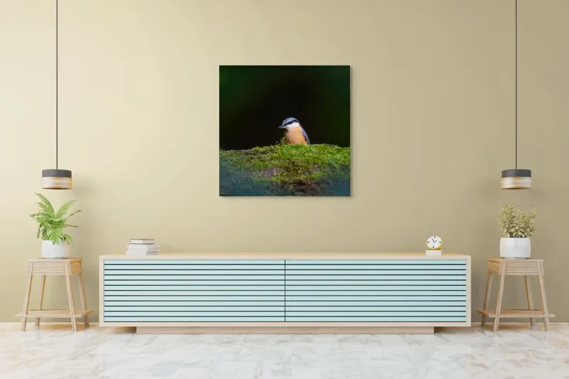 Tablou Canvas, "Taina vieții pe ramura verde", Pasăre, Molid, Mușchi, Verde, Pene, Natural, Seren, Tihnă, Observare, Liniște, 100 x 100 cm – poza 5