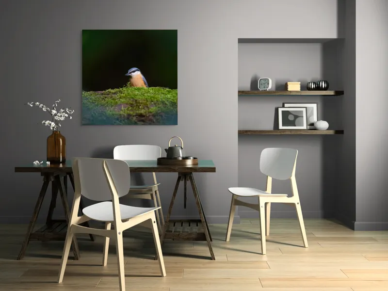 Tablou Canvas, "Taina vieții pe ramura verde", Pasăre, Molid, Mușchi, Verde, Pene, Natural, Seren, Tihnă, Observare, Liniște, 100 x 100 cm – poza 6
