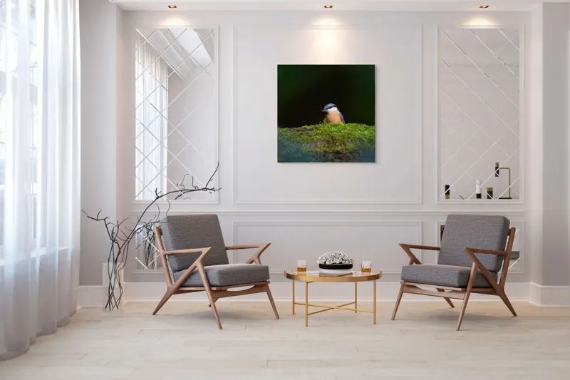 Tablou Canvas, "Taina vieții pe ramura verde", Pasăre, Molid, Mușchi, Verde, Pene, Natural, Seren, Tihnă, Observare, Liniște, 100 x 100 cm – poza 7