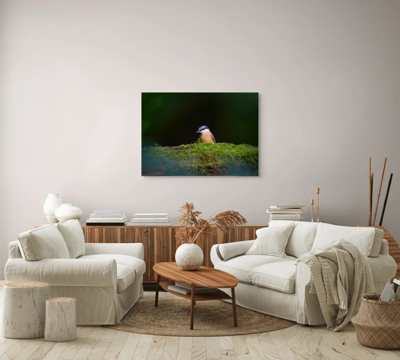 Tablou Canvas, "Taina vieții pe ramura verde", Pasăre, Molid, Mușchi, Verde, Pene, Natural, Seren, Tihnă, Observare, Liniște, 100 x 70 cm – poza 3