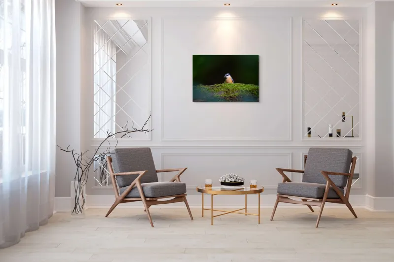 Tablou Canvas, "Taina vieții pe ramura verde", Pasăre, Molid, Mușchi, Verde, Pene, Natural, Seren, Tihnă, Observare, Liniște, 100 x 70 cm – poza 5