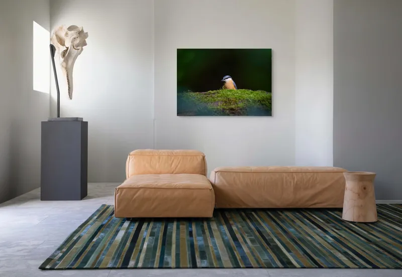 Tablou Canvas, "Taina vieții pe ramura verde", Pasăre, Molid, Mușchi, Verde, Pene, Natural, Seren, Tihnă, Observare, Liniște, 100 x 70 cm – poza 7