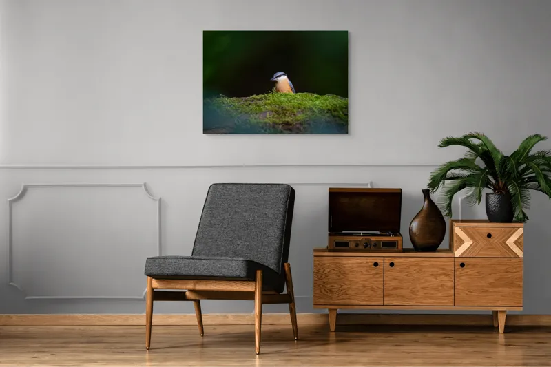 Tablou Canvas, "Taina vieții pe ramura verde", Pasăre, Molid, Mușchi, Verde, Pene, Natural, Seren, Tihnă, Observare, Liniște, 100 x 70 cm – poza 8