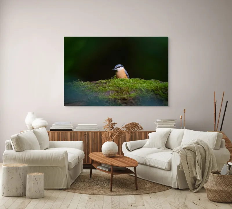 Tablou Canvas, "Taina vieții pe ramura verde", Pasăre, Molid, Mușchi, Verde, Pene, Natural, Seren, Tihnă, Observare, Liniște, 150 x 100 cm – poza 3