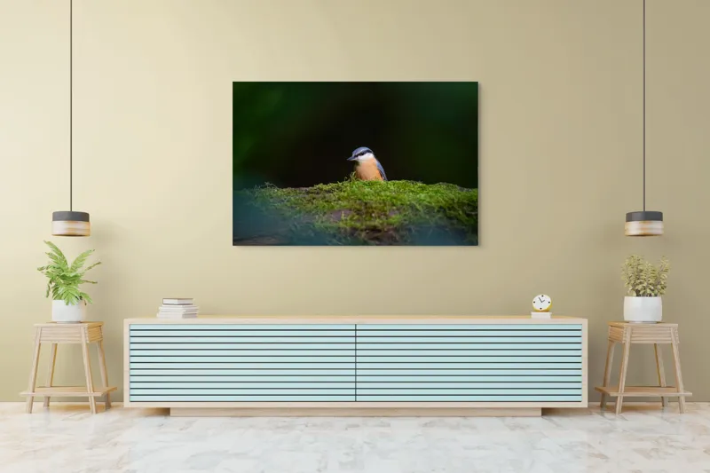 Tablou Canvas, "Taina vieții pe ramura verde", Pasăre, Molid, Mușchi, Verde, Pene, Natural, Seren, Tihnă, Observare, Liniște, 150 x 100 cm – poza 6