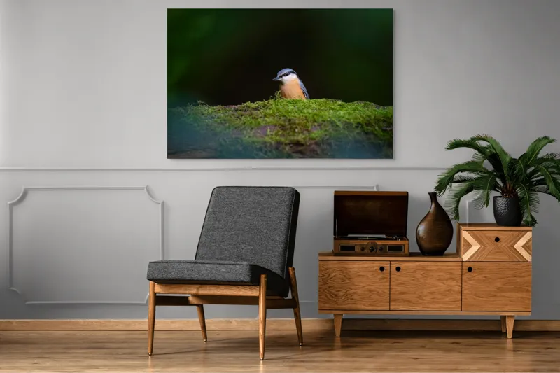 Tablou Canvas, "Taina vieții pe ramura verde", Pasăre, Molid, Mușchi, Verde, Pene, Natural, Seren, Tihnă, Observare, Liniște, 150 x 100 cm – poza 8