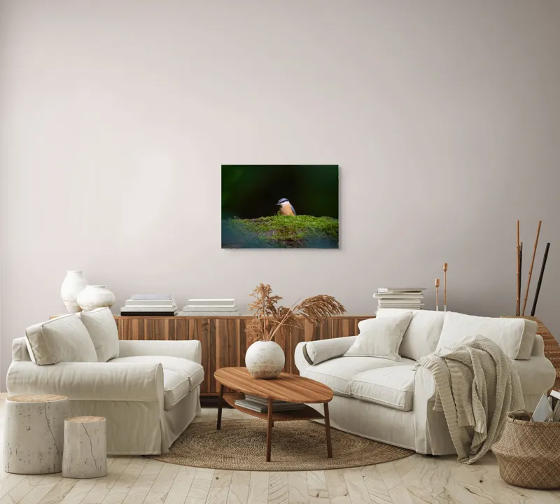 Tablou Canvas, "Taina vieții pe ramura verde", Pasăre, Molid, Mușchi, Verde, Pene, Natural, Seren, Tihnă, Observare, Liniște, 70 x 50 cm – poza 6