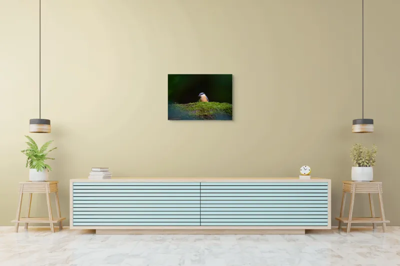 Tablou Canvas, "Taina vieții pe ramura verde", Pasăre, Molid, Mușchi, Verde, Pene, Natural, Seren, Tihnă, Observare, Liniște, 70 x 50 cm – poza 7