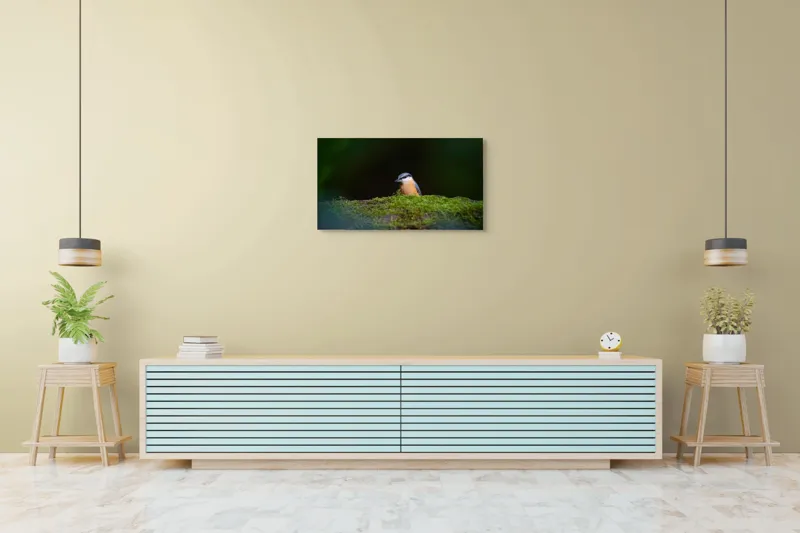 Tablou Canvas, "Taina vieții pe ramura verde", Pasăre, Molid, Mușchi, Verde, Pene, Natural, Seren, Tihnă, Observare, Liniște, 90 x 50 cm – poza 5