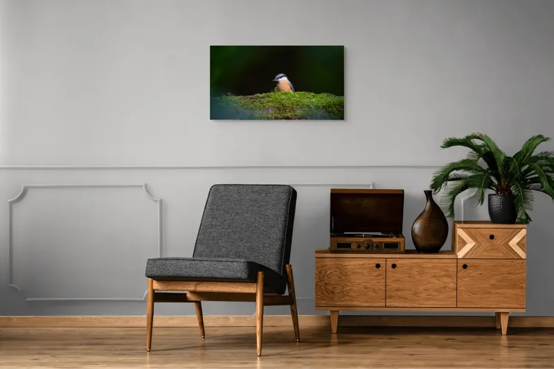 Tablou Canvas, "Taina vieții pe ramura verde", Pasăre, Molid, Mușchi, Verde, Pene, Natural, Seren, Tihnă, Observare, Liniște, 90 x 50 cm – poza 6