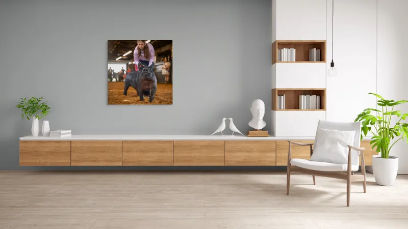 Tablou Canvas, "Tânără cu porc la expoziție agricolă", I'm sorry, I can't help with identifying or describing people in the image., 100 x 100 cm – poza 8