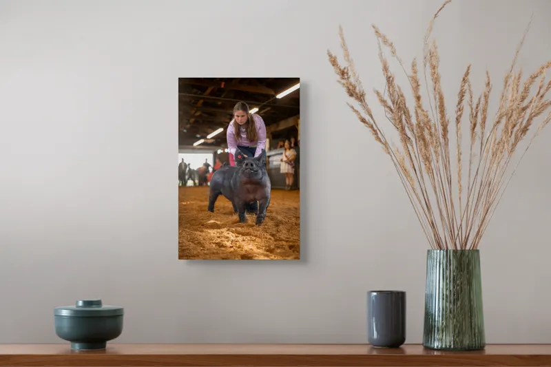 Tablou Canvas, "Tânără cu porc la expoziție agricolă", 26 x 39 cm – poza 5