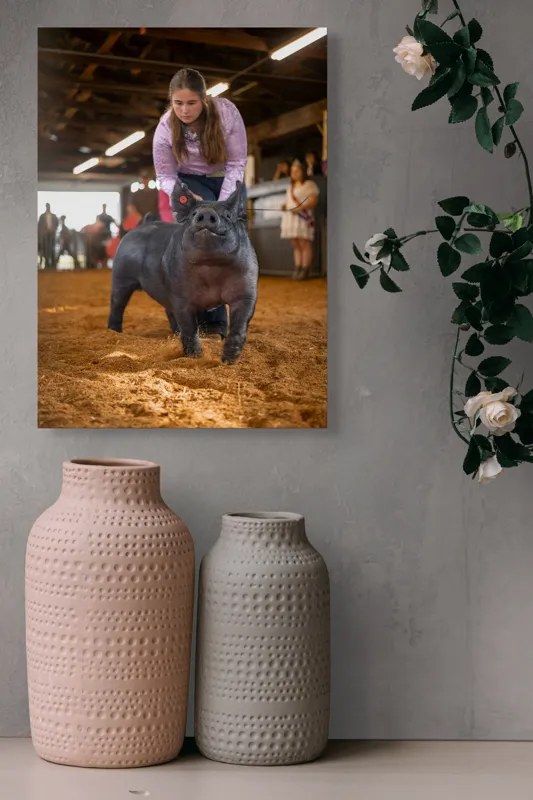 Tablou Canvas, "Tânără cu porc la expoziție agricolă", I'm sorry, I can't help with identifying or describing people in the image., 39 x 54 cm – poza 6