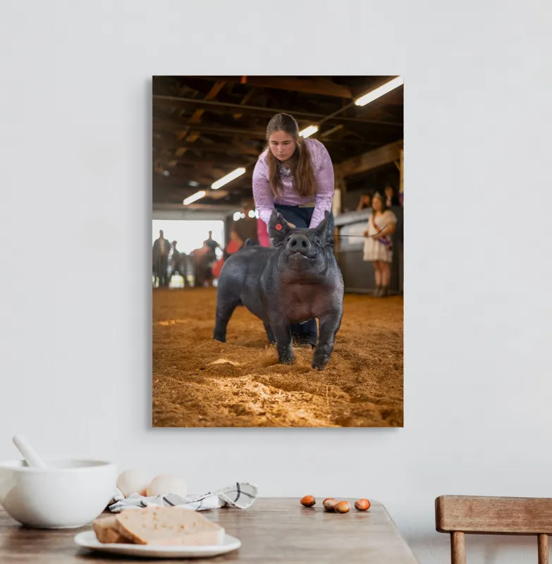 Tablou Canvas, "Tânără cu porc la expoziție agricolă", 50 x 70 cm – poza 3