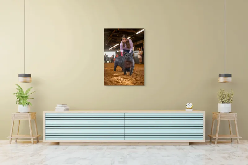 Tablou Canvas, "Tânără cu porc la expoziție agricolă", 70 x 100 cm – poza 5