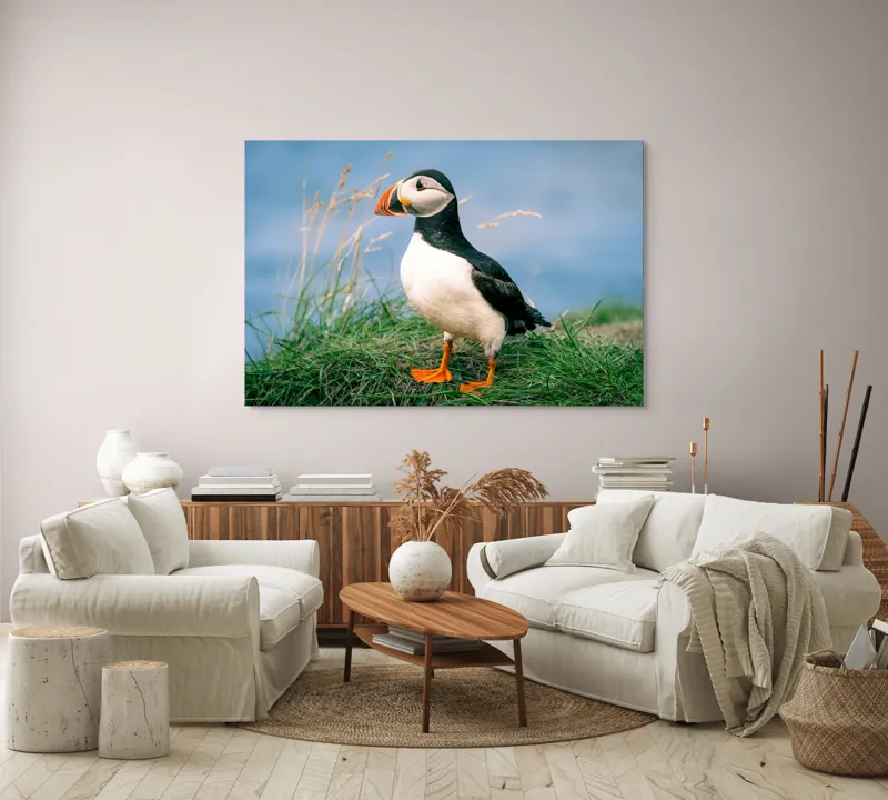 Tablou Canvas, "Puffin pe stâncile verzi ale mării", Puffin, Iarbă, Ocean, Cioc, Picioare, Cer Albastru, Natură, Penaj, 150 x 100 cm – poza 3