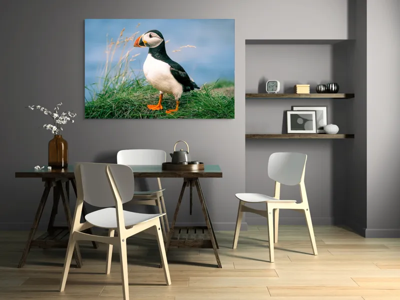 Tablou Canvas, "Puffin pe stâncile verzi ale mării", Puffin, Iarbă, Ocean, Cioc, Picioare, Cer Albastru, Natură, Penaj, 150 x 100 cm – poza 5