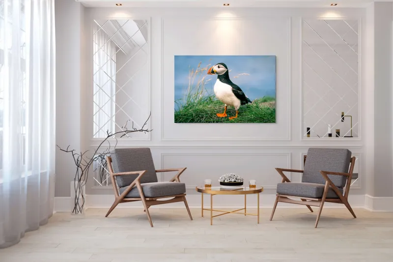 Tablou Canvas, "Puffin pe stâncile verzi ale mării", Puffin, Iarbă, Ocean, Cioc, Picioare, Cer Albastru, Natură, Penaj, 150 x 100 cm – poza 7