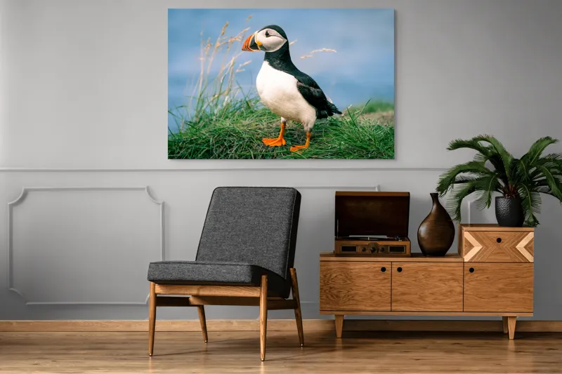 Tablou Canvas, "Puffin pe stâncile verzi ale mării", Puffin, Iarbă, Ocean, Cioc, Picioare, Cer Albastru, Natură, Penaj, 150 x 100 cm – poza 8