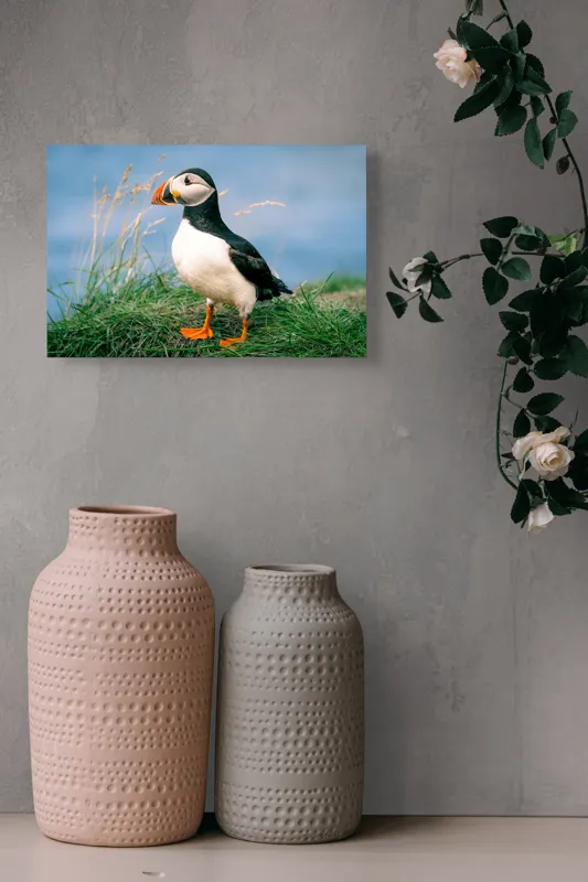 Tablou Canvas, "Puffin pe stâncile verzi ale mării", Puffin, Iarbă, Ocean, Cioc, Picioare, Cer Albastru, Natură, Penaj, 39 x 26 cm – poza 4
