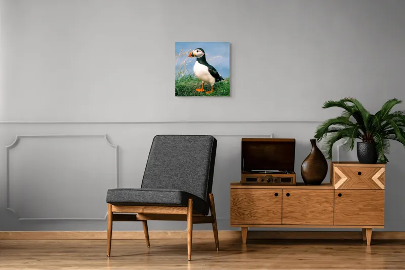 Tablou Canvas, "Puffin pe stâncile verzi ale mării", Puffin, Iarbă, Ocean, Cioc, Picioare, Cer Albastru, Natură, Penaj, 50 x 50 cm – poza 6