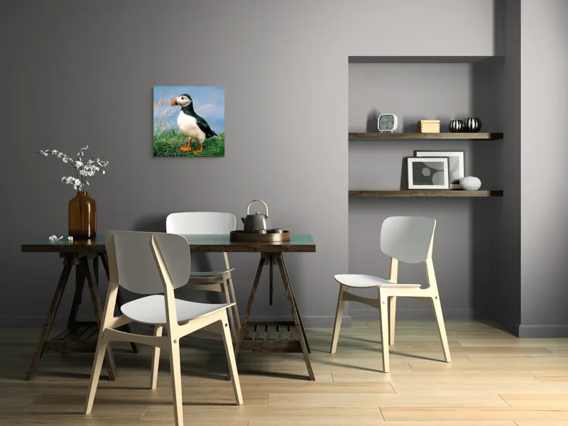 Tablou Canvas, "Puffin pe stâncile verzi ale mării", Puffin, Iarbă, Ocean, Cioc, Picioare, Cer Albastru, Natură, Penaj, 50 x 50 cm – poza 8