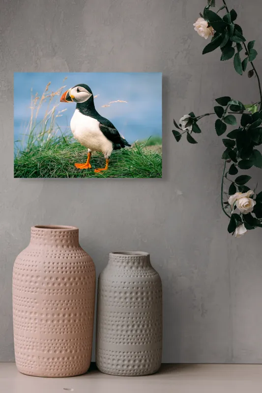 Tablou Canvas, "Puffin pe stâncile verzi ale mării", Puffin, Iarbă, Ocean, Cioc, Picioare, Cer Albastru, Natură, Penaj, 54 x 39 cm – poza 8